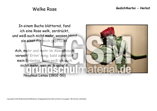 Welke-Rose-Lenau.pdf